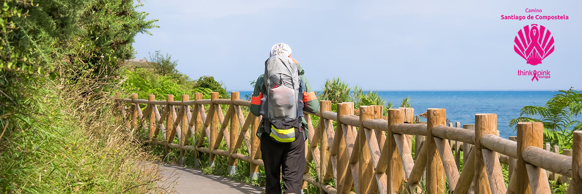 20190403_camino_de_compostela.jpg