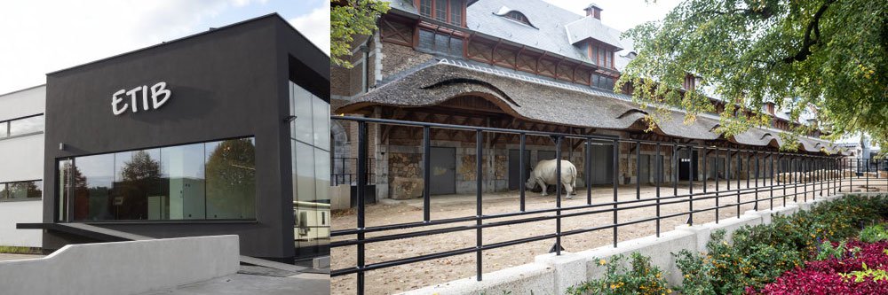 DCA Concrete & Steel: Etib getuigt over goede samenwerking