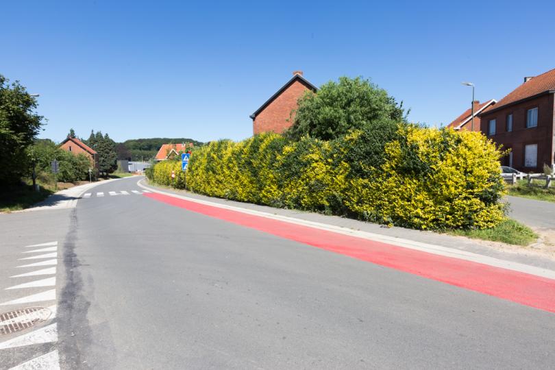 Bekkevoort "Zandstraat"