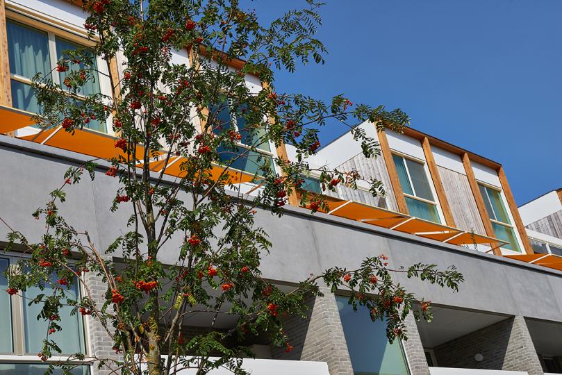 Afgewerkte project "Midden" in Boechout