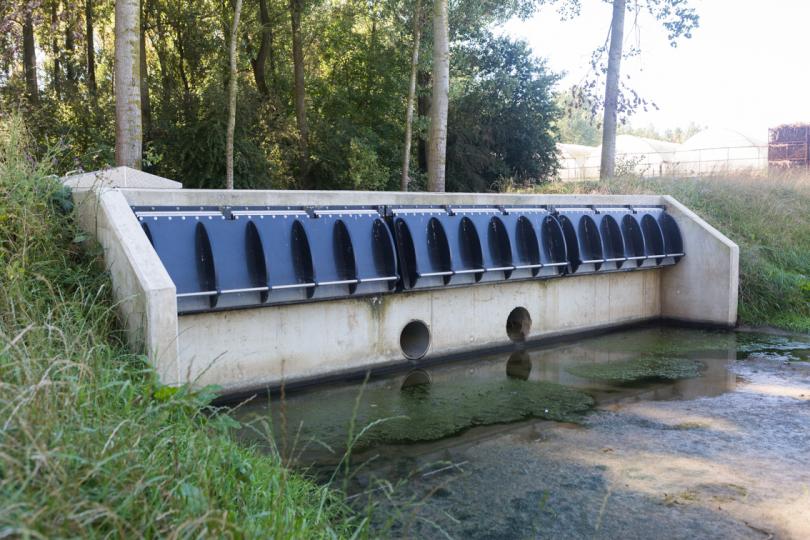 Borgloon "Collector Marmelbeek"