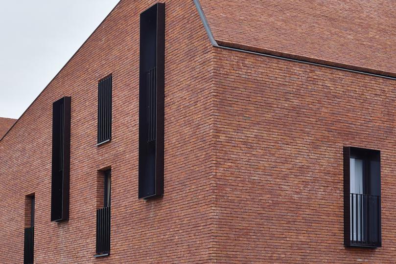 Het afgewerkte project in de Lelielaan in Hemiksem