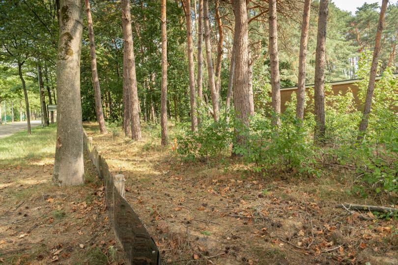 Beerse "Amfibieëntunnels"