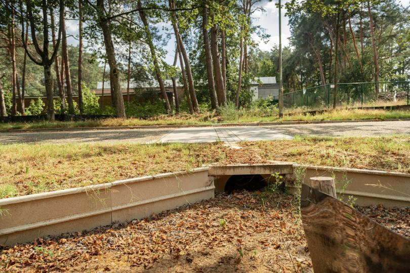 Beerse "Amfibieëntunnels"