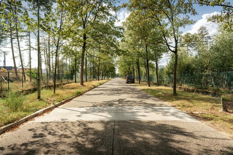 Beerse "Amfibieëntunnels"
