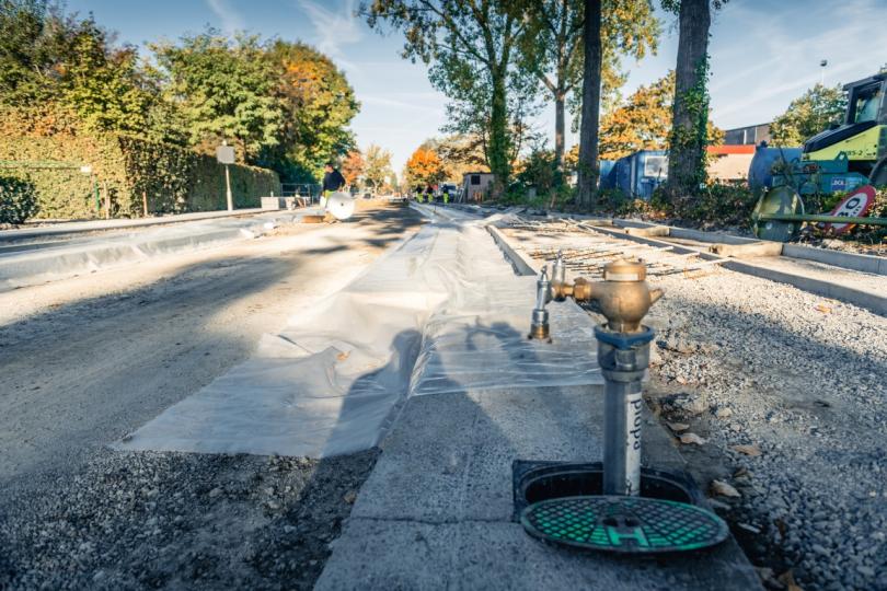 Kleistraat Aartselaar | DCA