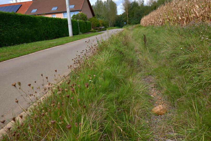 Smisstraat Holsbeek | DCA Smisstraat Holsbeek | DCA