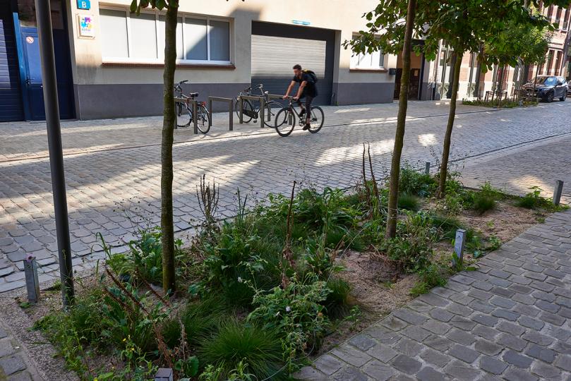 Kattendijkdok Antwerpen | DCA