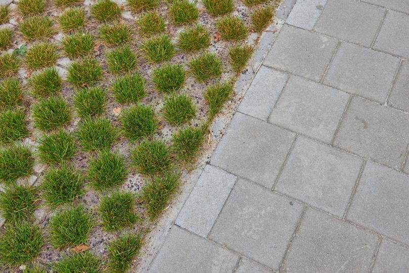 Jozef Ickxstraat - Prinshoeveweg Ekeren | DCA