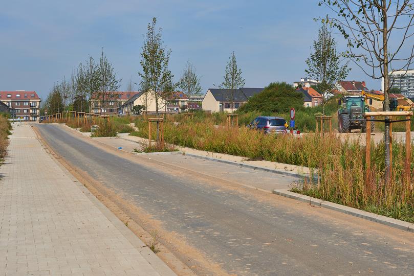 Klaverwijk Anderlecht | DCA