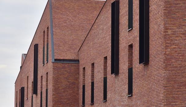 Het afgewerkte project in de Lelielaan in Hemiksem