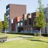 Hasselt “Cederpark”