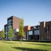 Hasselt “Cederpark”