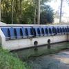 Borgloon "Collector Marmelbeek"