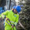 Borsbeek "Schanslaan"