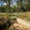 Beerse "Amfibieëntunnels"