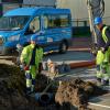 Ambachtstraat Malle | DCA