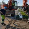 Ambachtstraat Malle | DCA