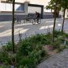Kattendijkdok Antwerpen | DCA