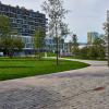 Cadixplein - Napelsstraat Antwerpen | DCA