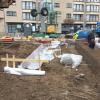 Ruwbouw project De Plukvogel in Vilvoorde | DCA