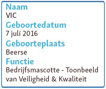Identiteiskaart van Veiligheidsmascotte VIC